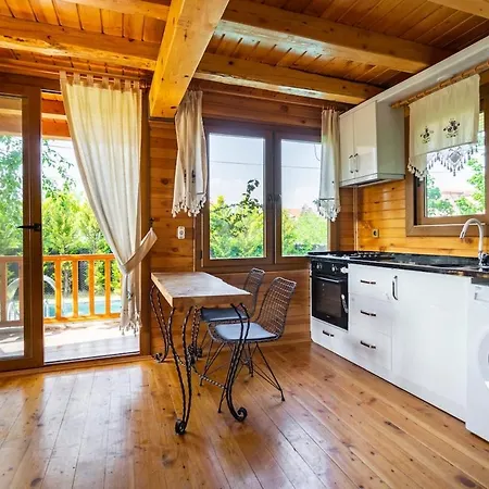 Denize Sifir Havuzlu Jakuzili Bahamas Vilă