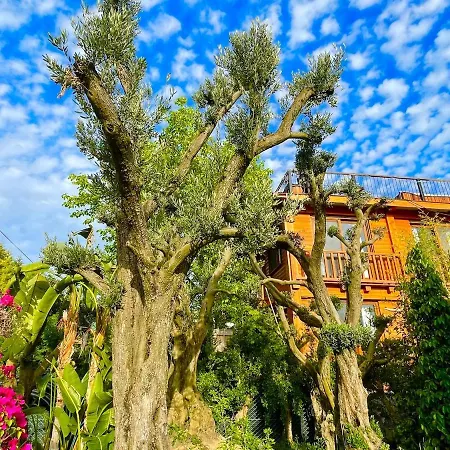 Villa Denize Sifir Havuzlu Jakuzili Bahamas *