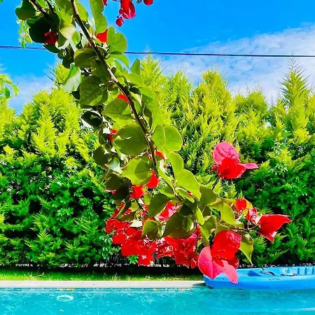 Denize Sifir Havuzlu Jakuzili Bahamas *