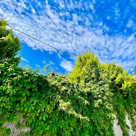 Denize Sifir Havuzlu Jakuzili Bahamas Vilă Fethiye