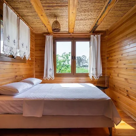 Denize Sifir Havuzlu Jakuzili Bahamas 别墅