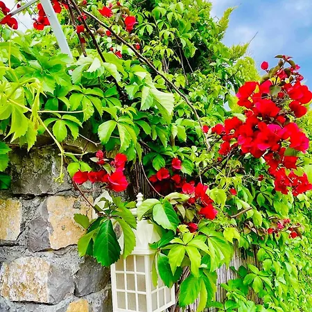 Denize Sifir Havuzlu Jakuzili Bahamas Fethiye