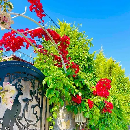 Villa Denize Sifir Havuzlu Jakuzili Bahamas Fethiye